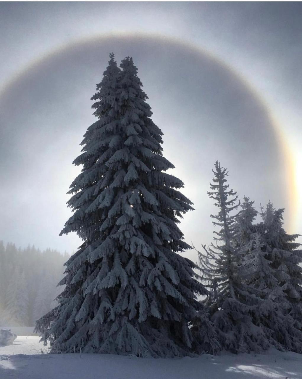 Silver Mountain Milmari Kopaonik Exterior photo